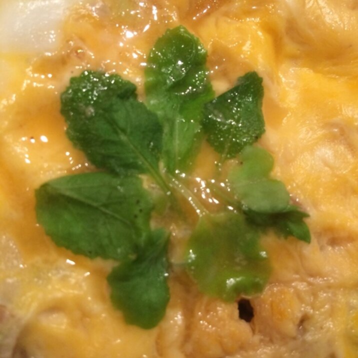 お肉プリプリ親子丼